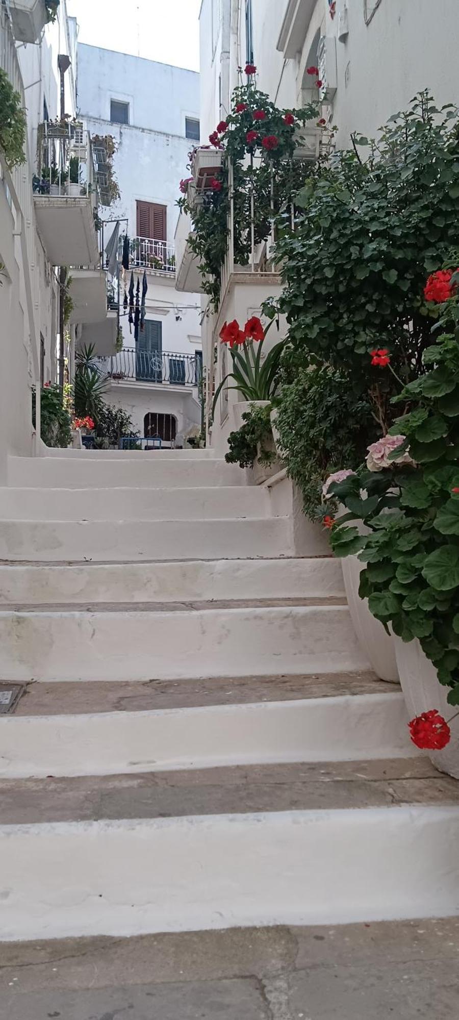 La Chicca Di C.Cavour Hotel Ostuni Buitenkant foto